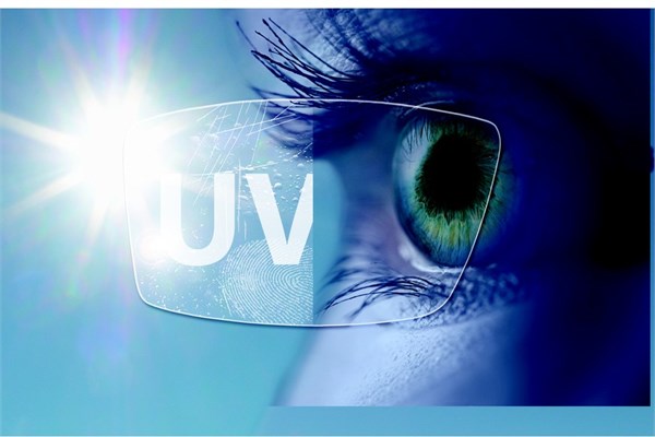 En yenilikçi şirketler