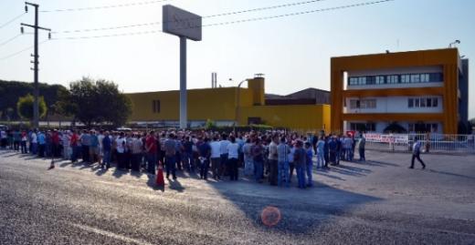 30 dev fabrikada greve gidildi