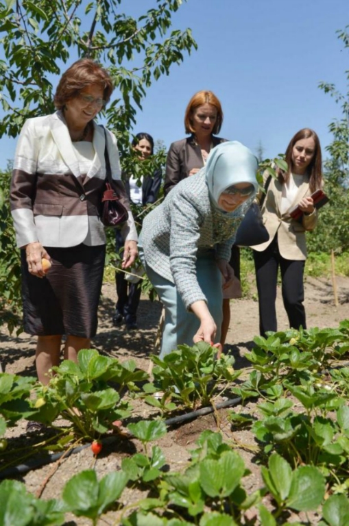 Çankaya Köşkü'nün yeni bahçesi