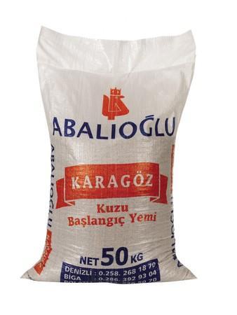100 Anadolu Kaplanı