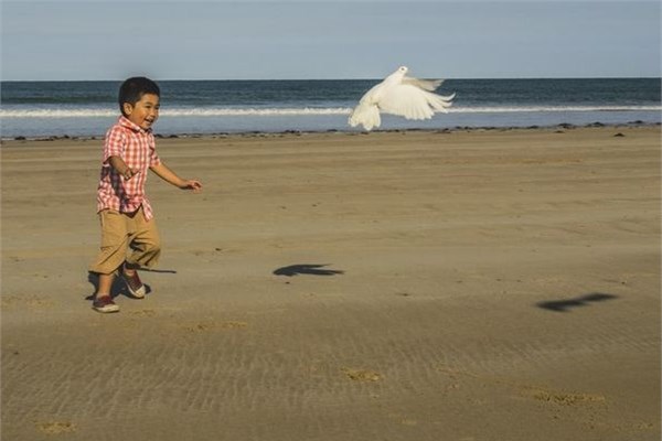 National Geographic 2013 fotoğraf yarışması