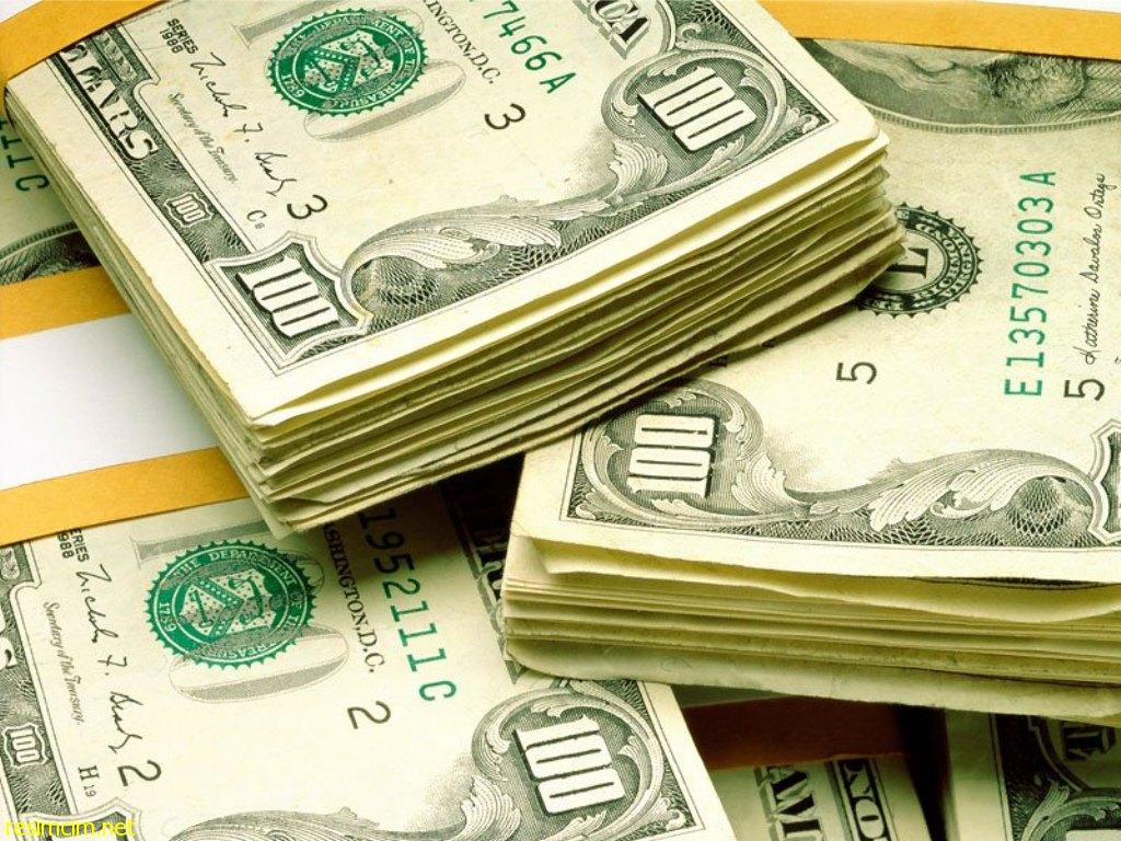 Türkler 20 milyar dolarlık döviz aldı