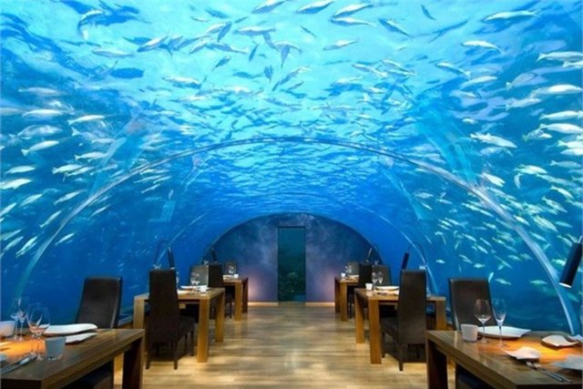 En pahalı restoranlar
