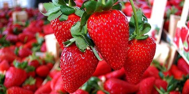 Mayıs ayında bunları bol bol tüketin
