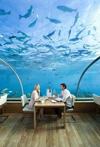 Dünyanın ilk sualtı cam restoranı
