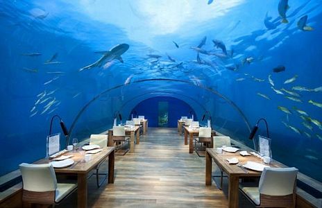 Dünyanın ilk sualtı cam restoranı
