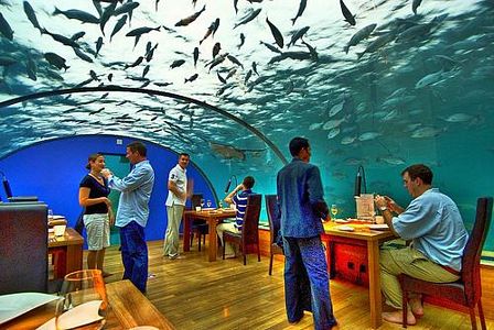 Dünyanın ilk sualtı cam restoranı
