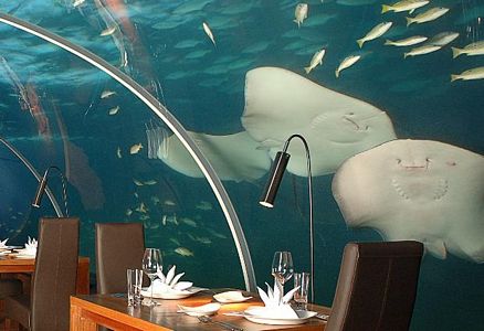 Dünyanın ilk sualtı cam restoranı
