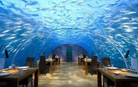 Dünyanın ilk sualtı cam restoranı
