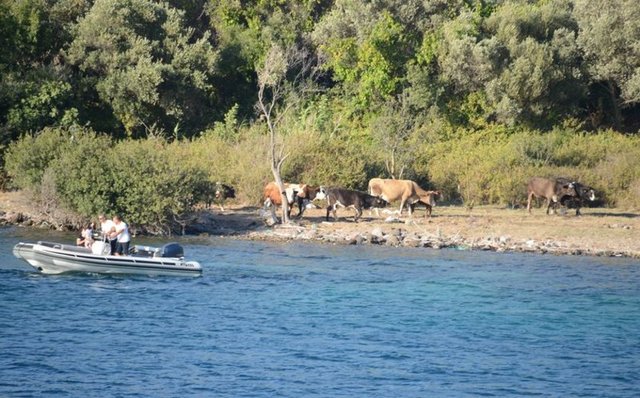Ünal Aysal Cennet Koyu'nda tatil yapıyor
