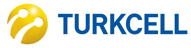 Fortune 500'e göre en büyük şirketler