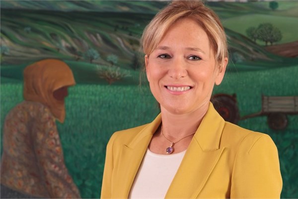 Türk CEO'lar nereden mezun?
