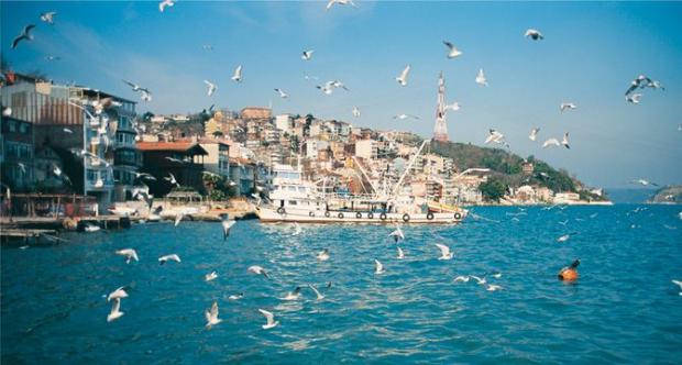 İşte ilçe ilçe Cumhurbaşkanlığı seçim sonuçları