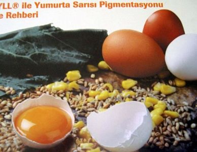 Meyve suyunu aç karnına içince bakın ne oluyor!
