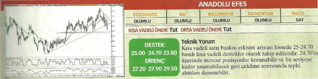 17 hisselik teknik analiz