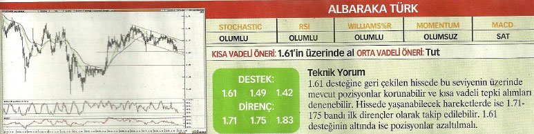 17 hisselik teknik analiz
