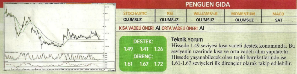 17 hisselik teknik analiz