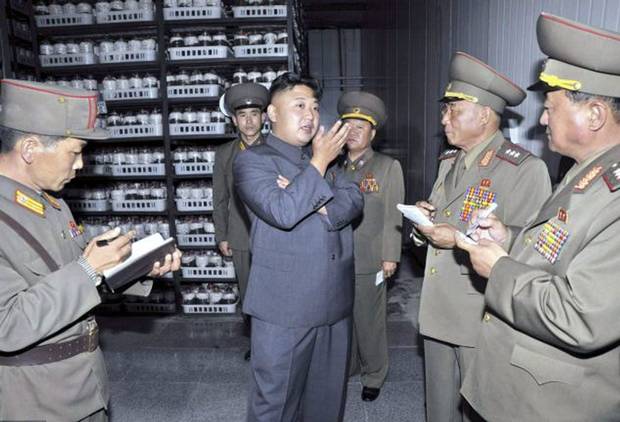 Kim bu adamlar?
