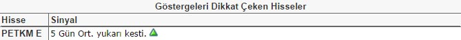 Dikkat çeken hisseler