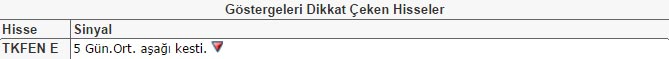 Dikkat çeken hisseler
