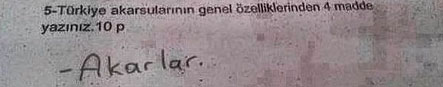 Bu cevaplar efsane oldu!
