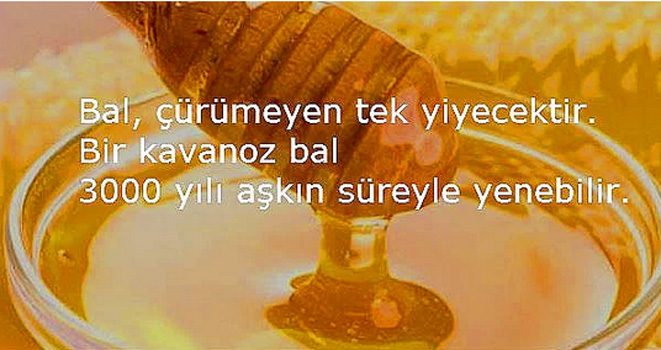 Şaşırtan gerçekler!