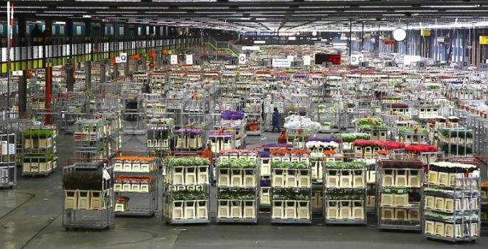 Dünyanın en büyük fabrikaları
