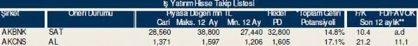 Dev hisse analizi
