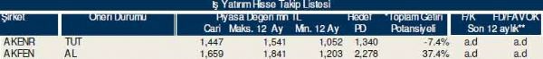 Dev hisse analizi