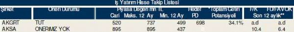 Dev hisse analizi