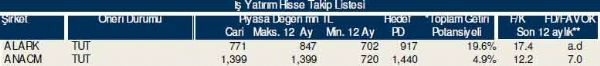 Dev hisse analizi