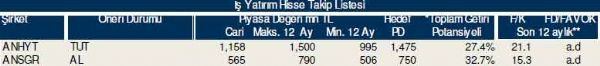 Dev hisse analizi