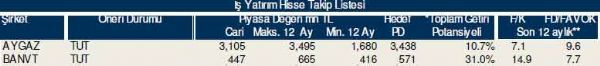Dev hisse analizi