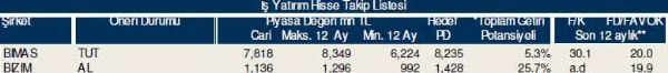 Dev hisse analizi