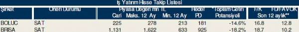 Dev hisse analizi