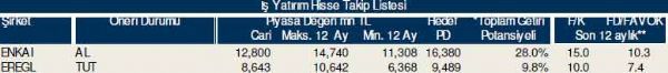 Dev hisse analizi