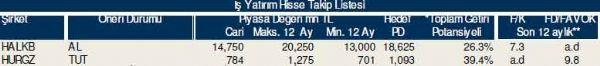 Dev hisse analizi