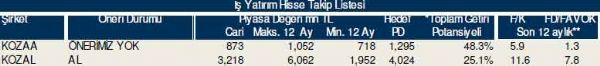 Dev hisse analizi