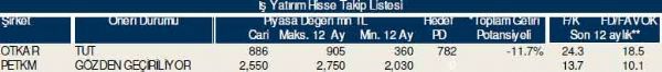 Dev hisse analizi