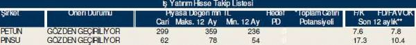 Dev hisse analizi