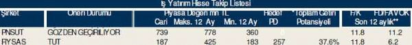 Dev hisse analizi