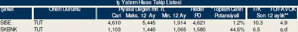 Dev hisse analizi