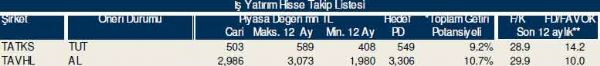 Dev hisse analizi