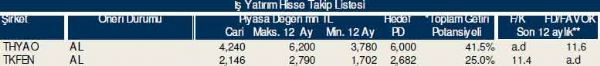 Dev hisse analizi