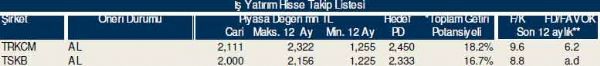 Dev hisse analizi