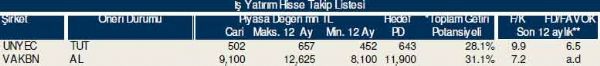 Dev hisse analizi