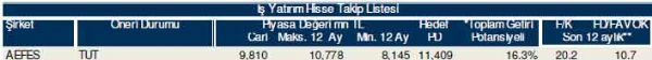 81 hisselik dev analiz