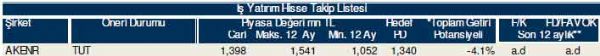 81 hisselik dev analiz