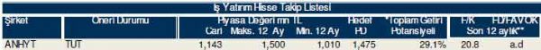 81 hisselik dev analiz