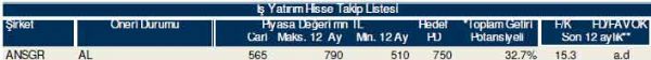 81 hisselik dev analiz